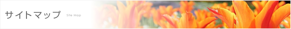 TCg}bv